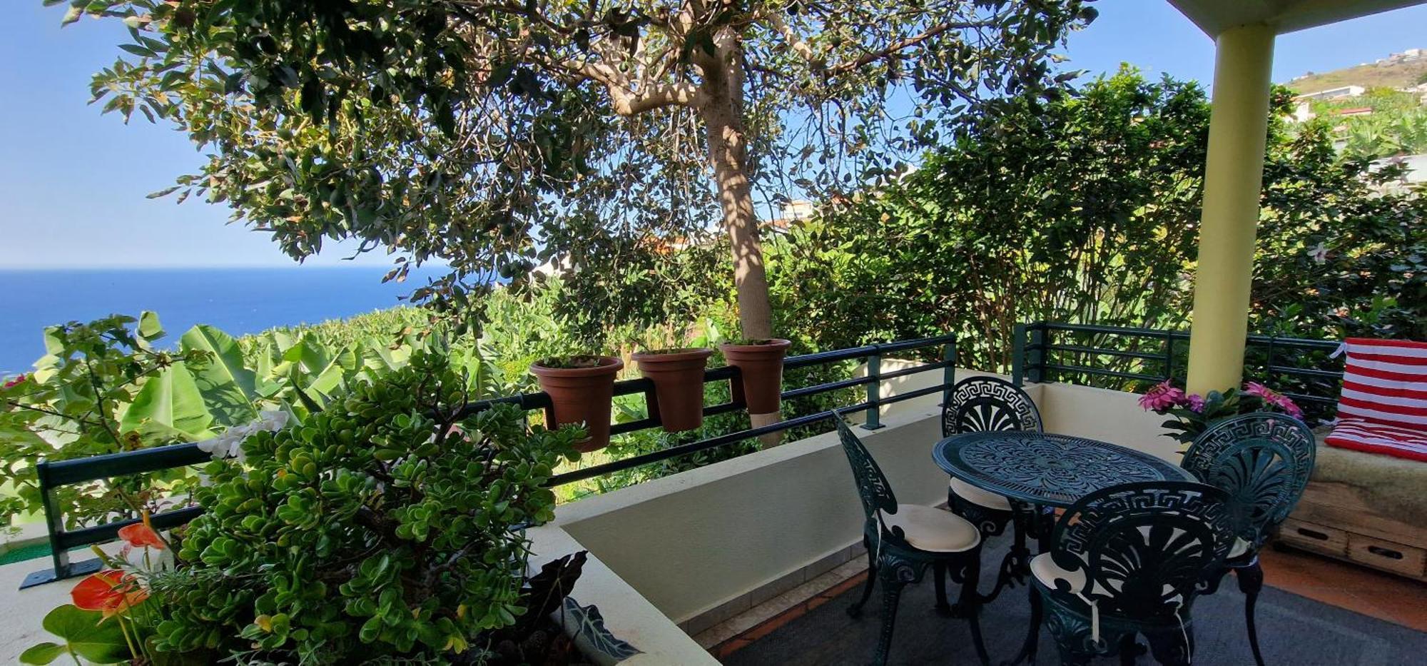 Apartament Sunny Arco Retreat Arco da Calheta  Zewnętrze zdjęcie